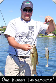 One HUNGRY largemouth!
