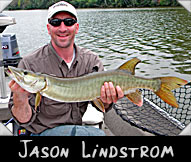 Jason Lindstrom