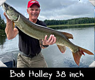 Past Hunter Bob Holly landed this 38-inch beauty guided by Joe Junion
