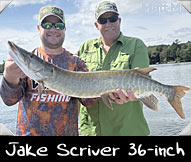Past Hunter Jake Scriver caught this 36-inch beauty shown here with Guide Matt McCumber