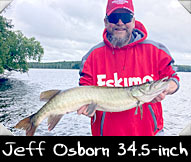 Past Hunter Jeff Osborn caught this unique 34.5-inch beauty while being guided by Eric Herzfeldt
