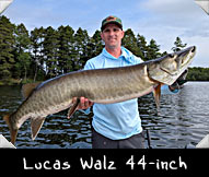 Past Hunter Lucas Walz landed this 44-inch beauty guided by Jason Long